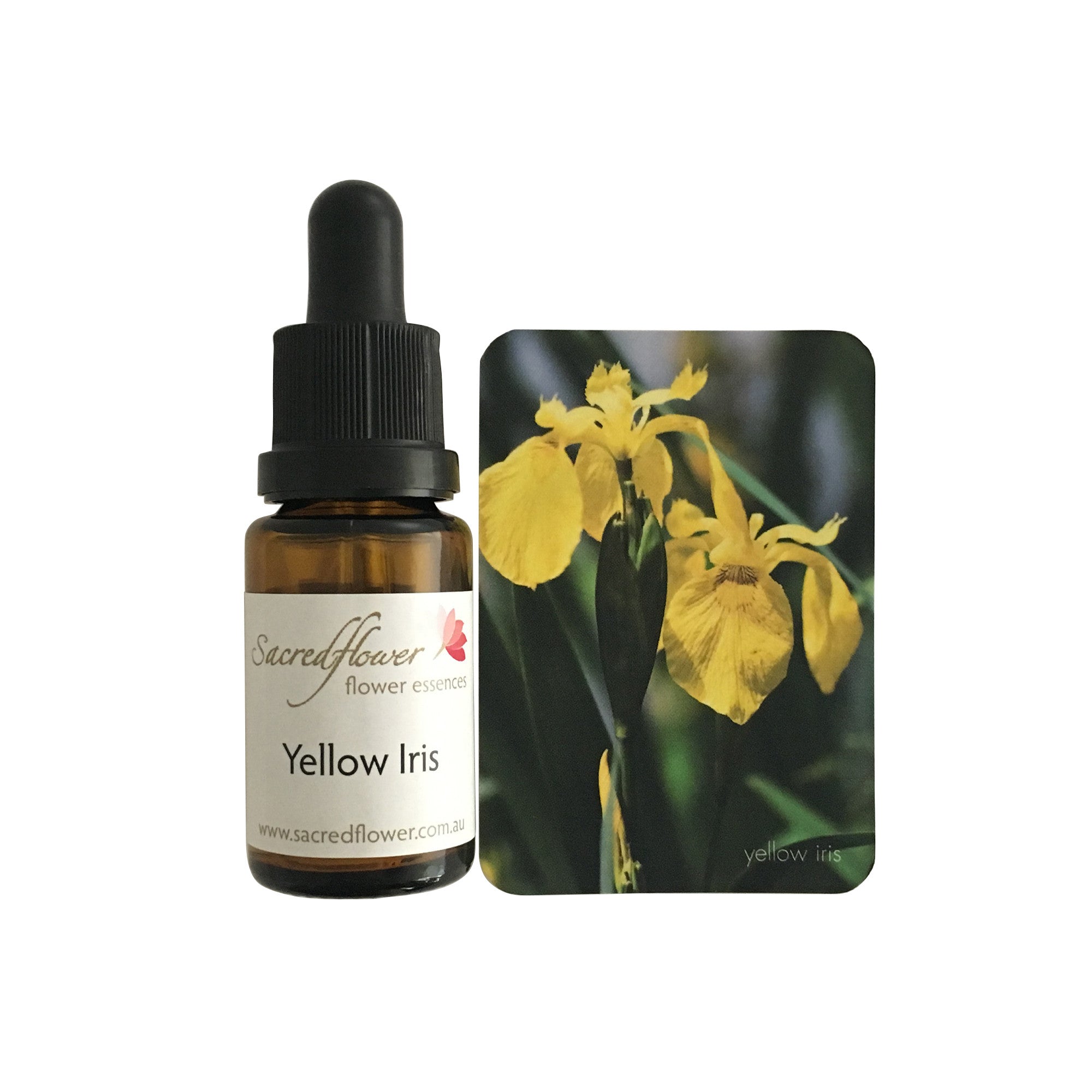 Yellow iris flower essence